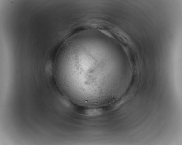 X0000114600465200910191622