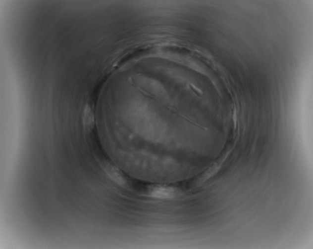 X0000114600471200910191622