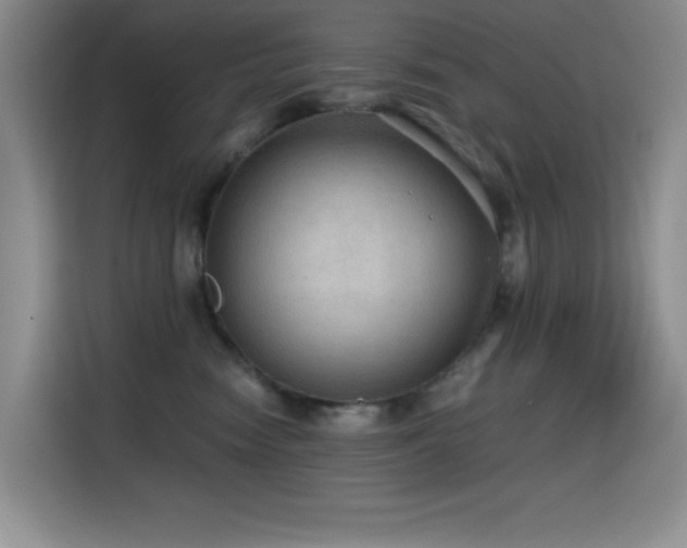 X0000114600474200910191622