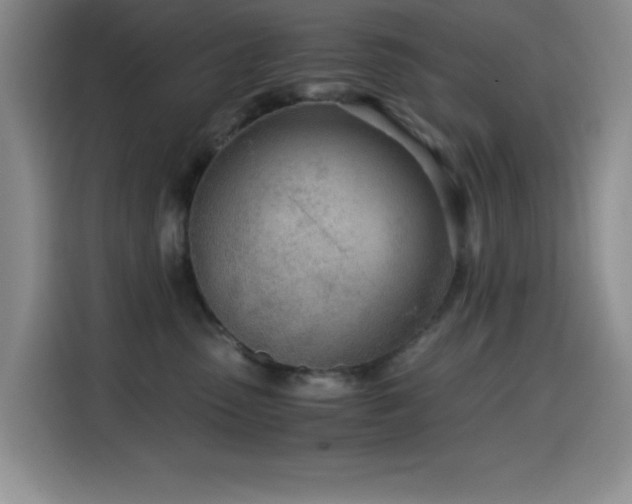 X0000114600475200910191622