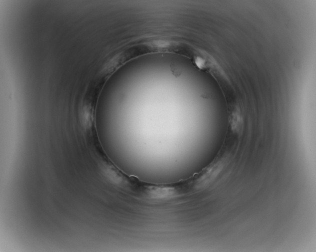 X0000114600476200910191622