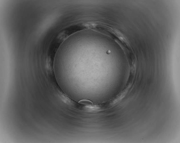 X0000114600477200910191622