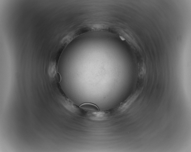 X0000114600478200910191622