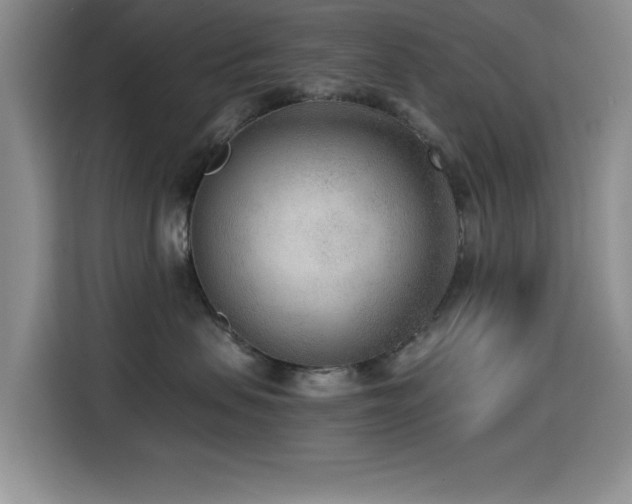 X0000114600479200910191622