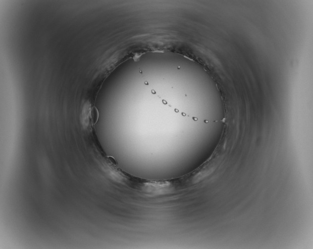 X0000114600480200910191622