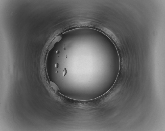 X0000114600481200910191621