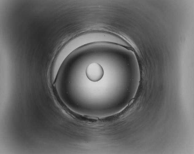 X0000114600485200910191621