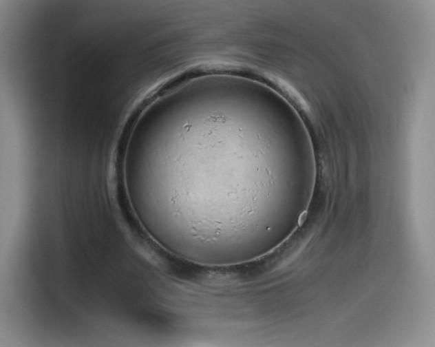 X0000114600487200910191621