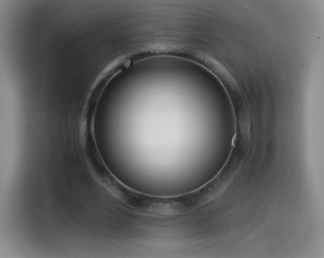 X0000114600488200910191621