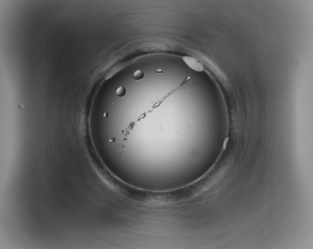 X0000114600489200910191621