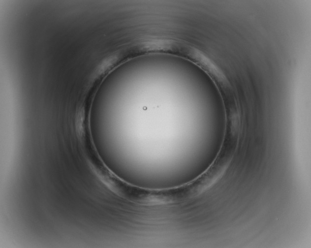 X0000114600490200910191621