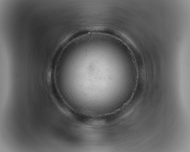 X0000114600491200910191621