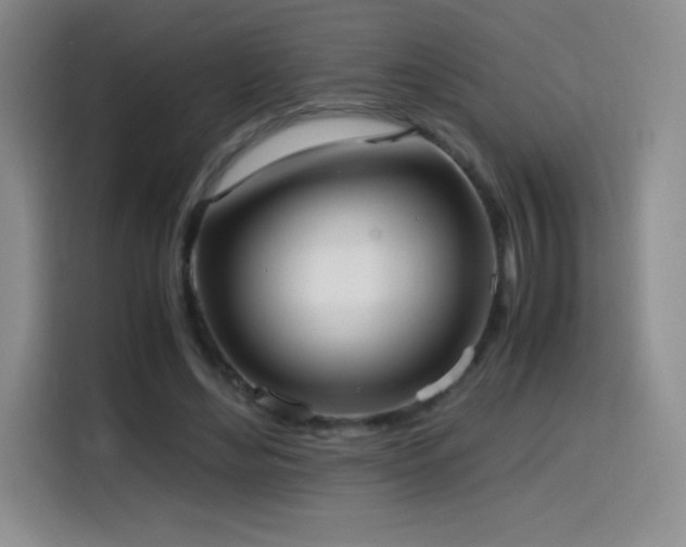 X0000114600492200910191621