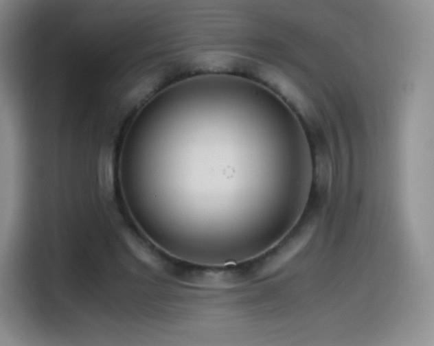 X0000114600493200910191621