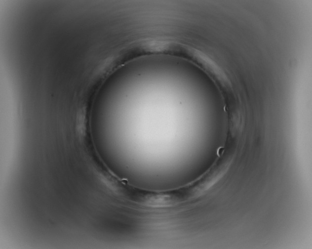 X0000114600497200910191621