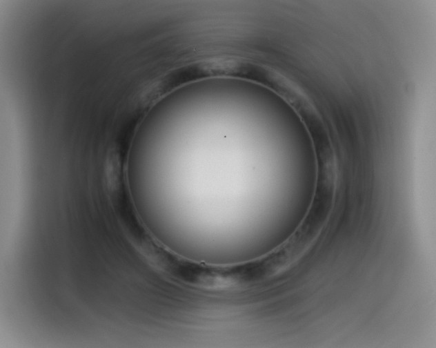 X0000114600498200910191621