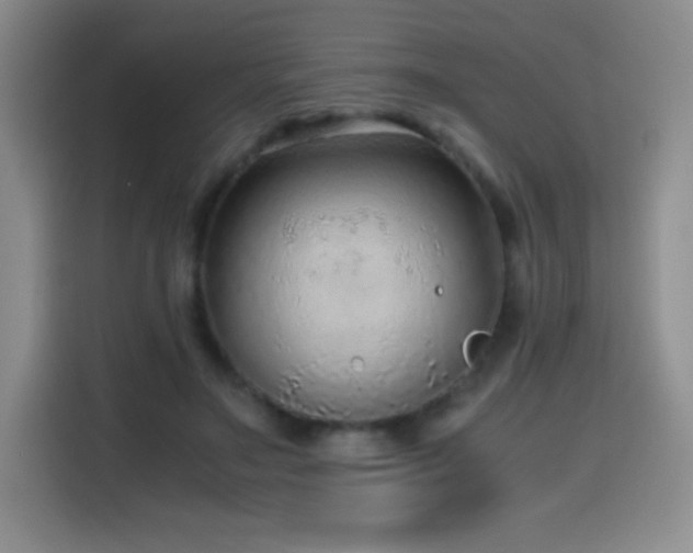 X0000114600499200910191621