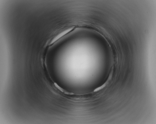 X0000114600500200910191621