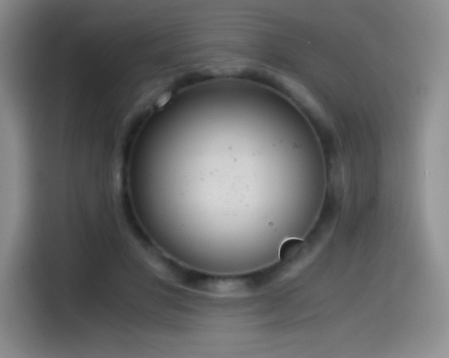 X0000114600501200910191621