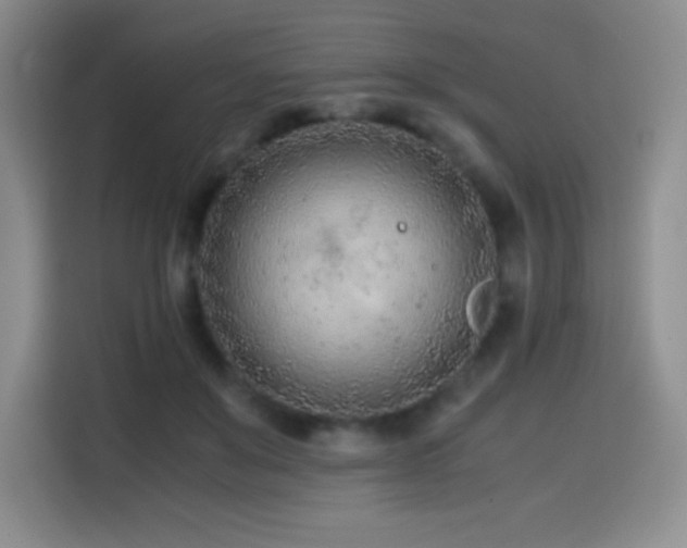 X0000114600503200910191621