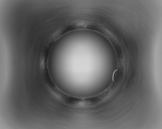 X0000114600504200910191621