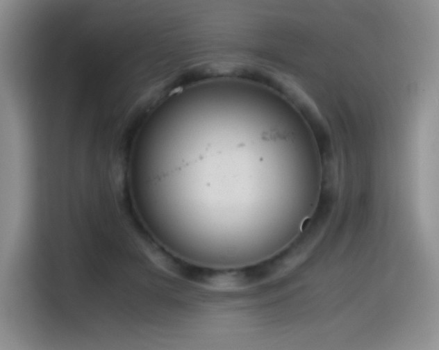 X0000114600505200910191621