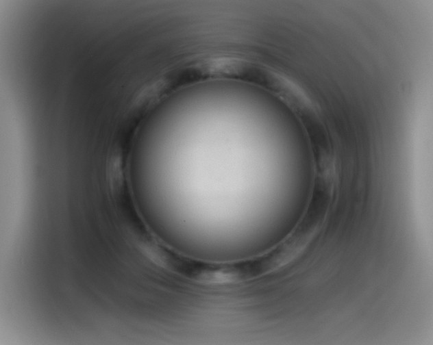 X0000114600506200910191621