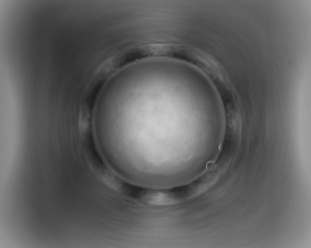 X0000114600507200910191621