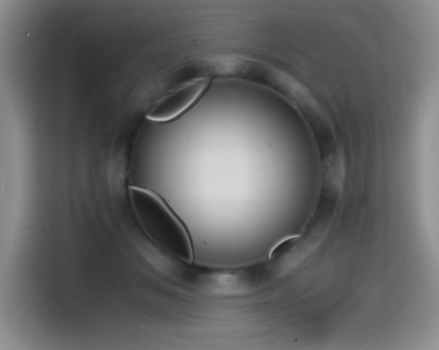 X0000114600509200910191621