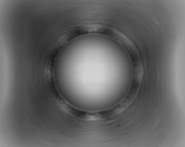 X0000114600510200910191621