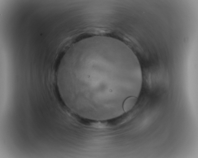 X0000114600511200910191621