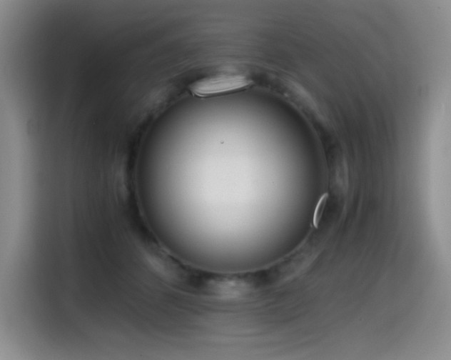 X0000114600512200910191621