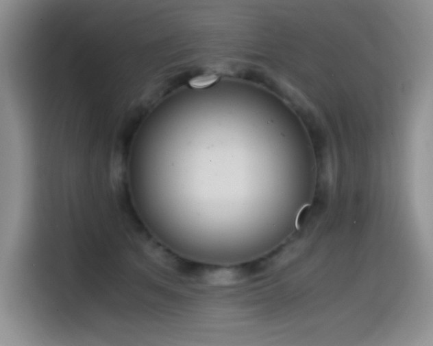 X0000114600513200910191621