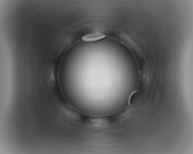 X0000114600516200910191621