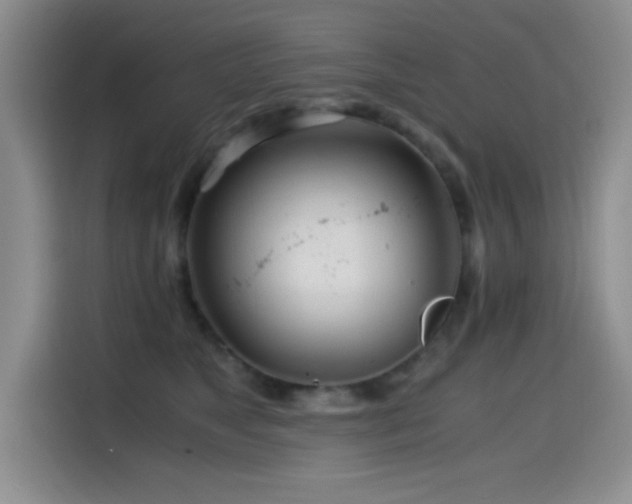 X0000114600517200910191621