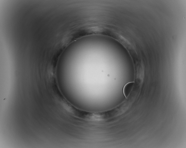 X0000114600518200910191621