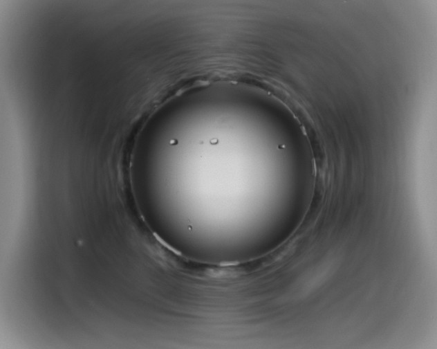 X0000114600520200910191621