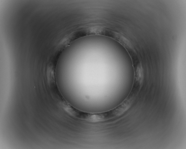 X0000114600522200910191621