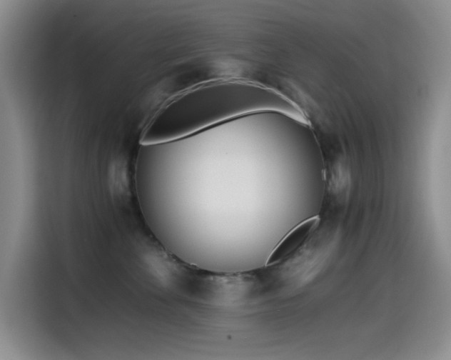 X0000114600524200910191621