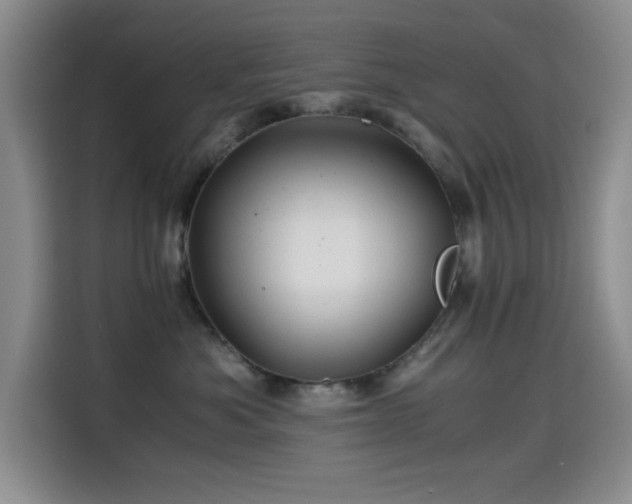 X0000114600525200910191621