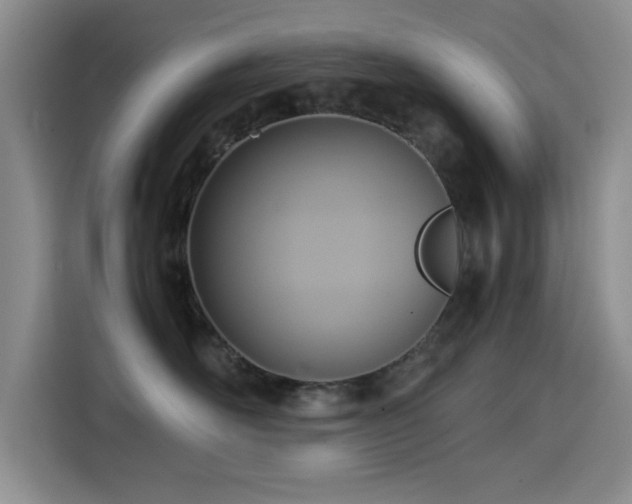 X0000114600526200910191621