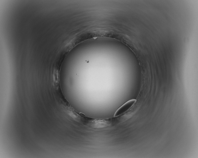 X0000114600528200910191621