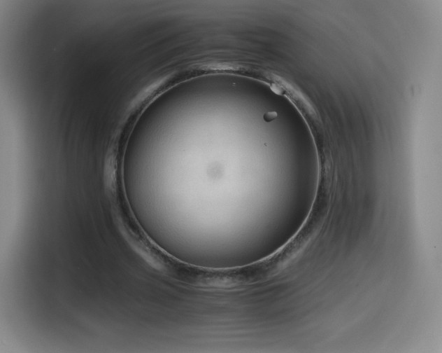 X0000114600533200910191620