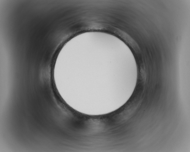 X0000114600534200910191620