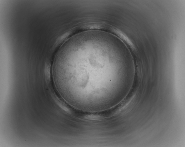 X0000114600537200910191620