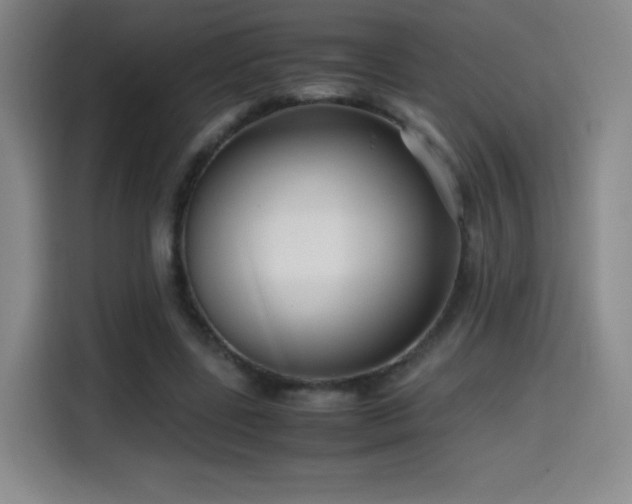 X0000114600539200910191620