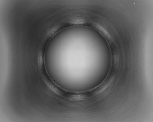 X0000114600541200910191620