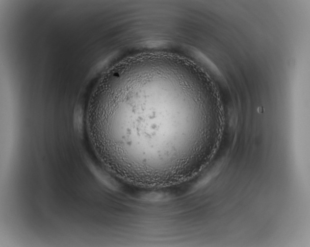 X0000114600542200910191620