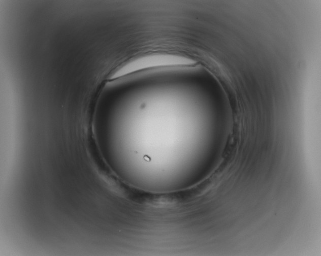 X0000114600546200910191620