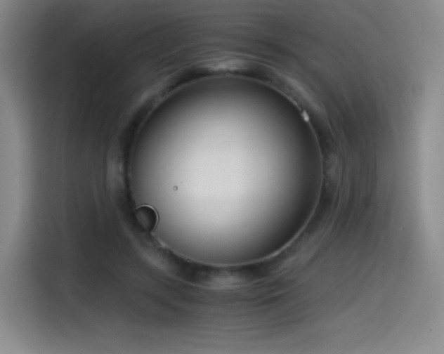 X0000114600547200910191620